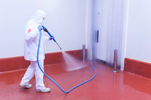 Best Pre-Holiday Cleaning  in Port Ewen, NY